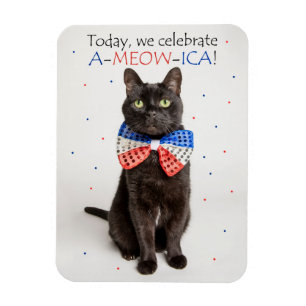 Happy Fourth of July For Anyone Cute Patriotic Cat Magnet