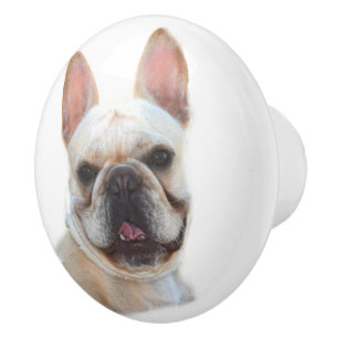 Happy French Bulldog Ceramic Knob
