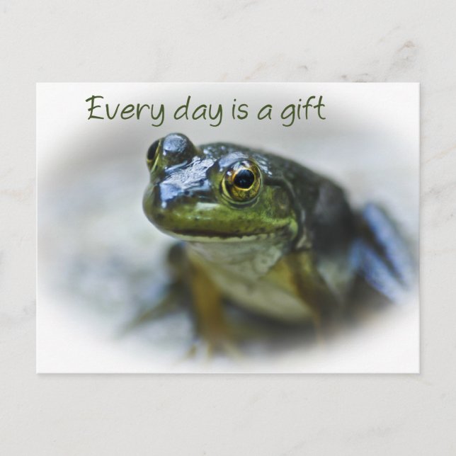 Happy Frog Encouragement Postcard (Front)