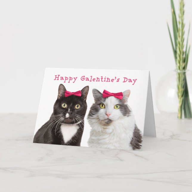 Happy Galentine's Day Cute Girl Cats Holiday Card (Front)