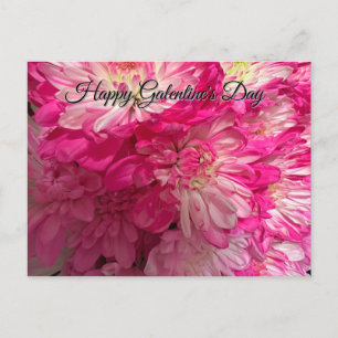 Happy Galentine's Day Pink Flower Postcard