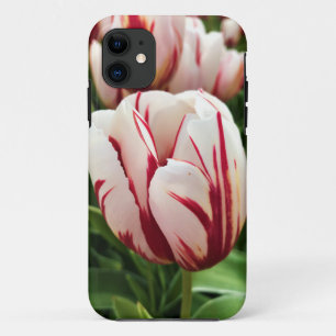 Happy Generation Tulip, Oregon iPhone 11 Case