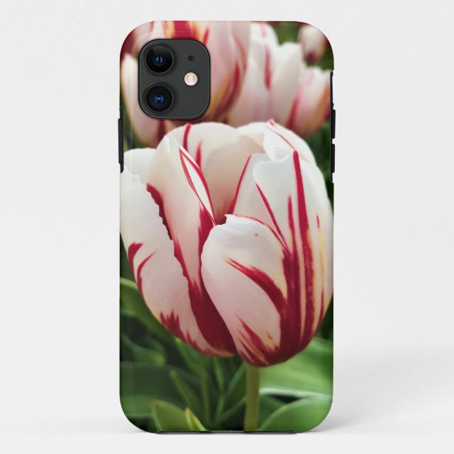 Happy Generation Tulip, Oregon Case-Mate iPhone Case (Back)