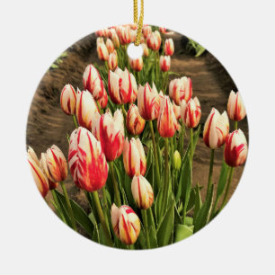 Happy Generation Tulips Ceramic Ornament