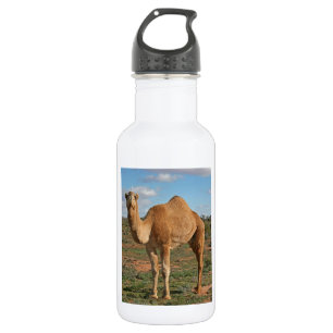 HAPPY GIFTING 532 ML WATER BOTTLE