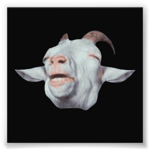 Happy Goat is Faded Photo Print