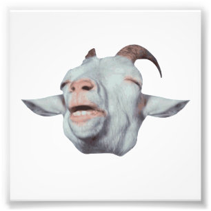 Happy Goat is Faded Photo Print
