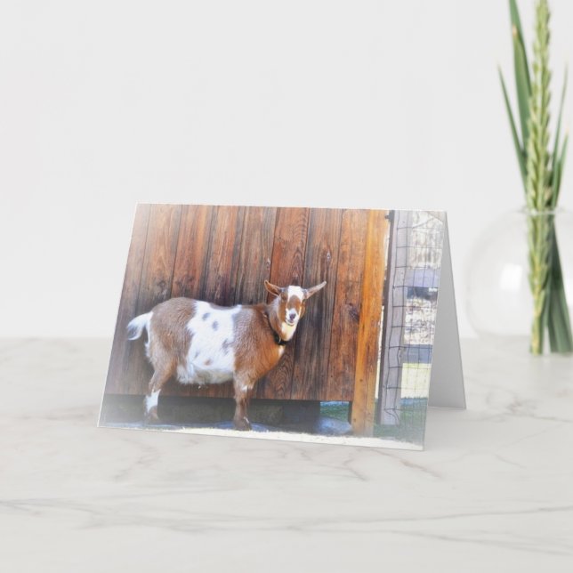 Happy Goat Note Card (Front)