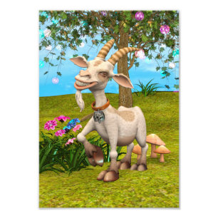 Happy Goat Photo Print
