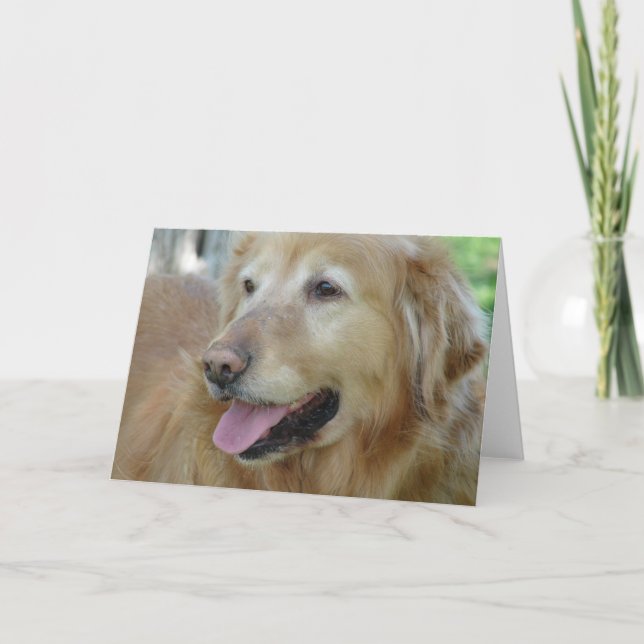 Happy Golden Retriever Card (Front)