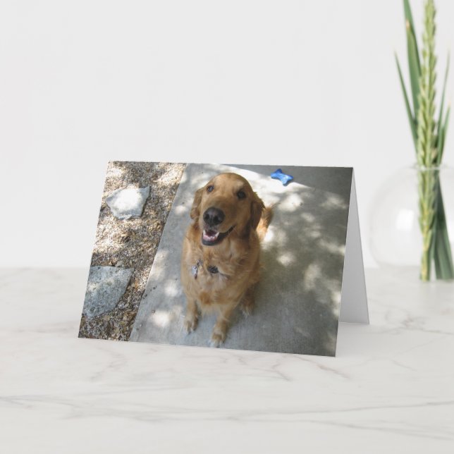 Happy Golden Retriever Card (Front)