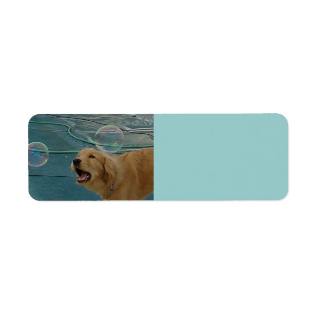 Happy Golden Retriever Return Address Label (Front)