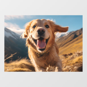 Happy Golden Retriever Running
