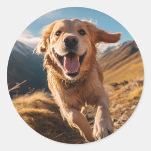 Happy Golden Retriever Running Classic Round Sticker