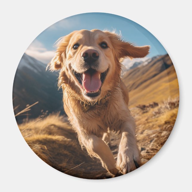 Happy Golden Retriever Running  Magnet (Front)