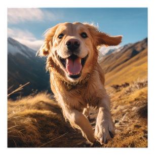 Happy Golden Retriever Running Photo Print