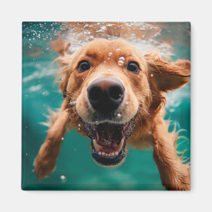 Happy Golden Retriever Swimming Underwater Magnet