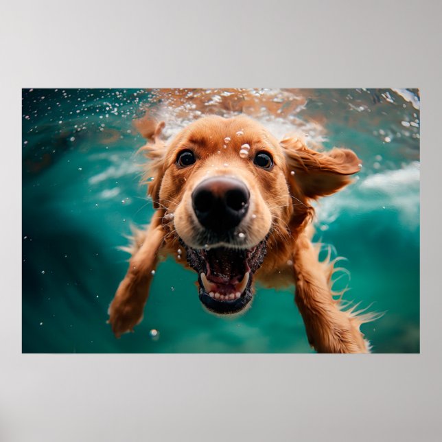 Happy Golden Retriever Swimming Underwater Poster (Front)
