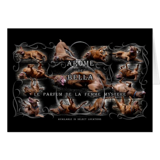 Happy Goofy Chocolate Lab Pit Mix Dog Collage (Front Horizontal)