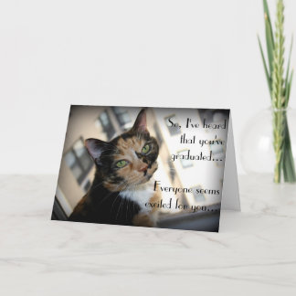 Happy Graduation from Aloof Cat Card