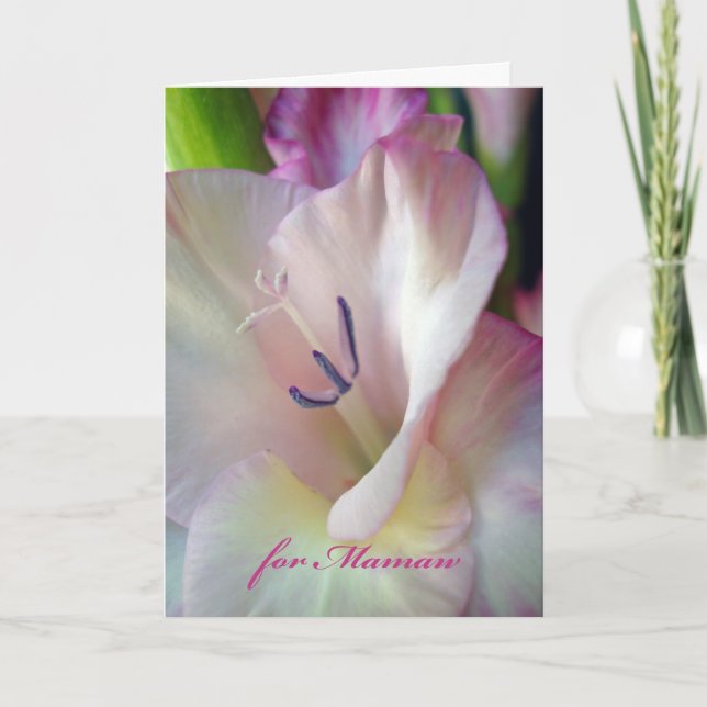 Happy Grandparents Day for Mamaw, Gladiolus Photo Card (Front)