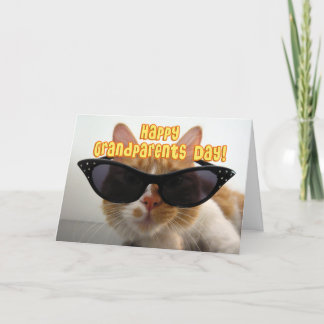 Happy Grandparents Day Grandma - Cool Cat Card