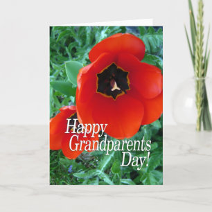 Happy Grandparents Day Grandma - Poppy Flowers Card