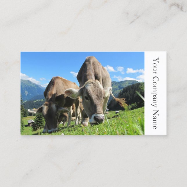 Happy Grazing Cows Photograph - Business Card (Front)
