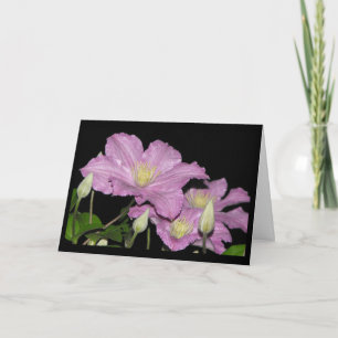 Happy Greetings - 34 - Card