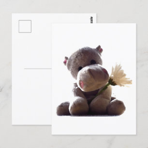 Happy Grey Hippo Holding Daisy, Cute Love Photo Postcard