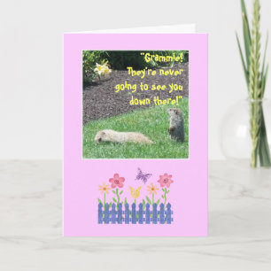Happy Groundhog Birthday Grandma! Card