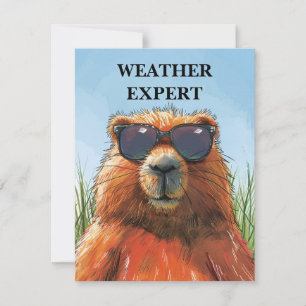 Happy Groundhog Day Cute Colorful Woodchuck Holiday Card