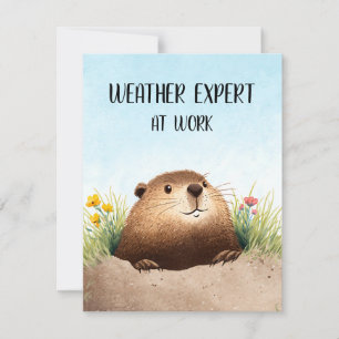 Happy Groundhog Day Cute Colorful Woodchuck Holiday Card