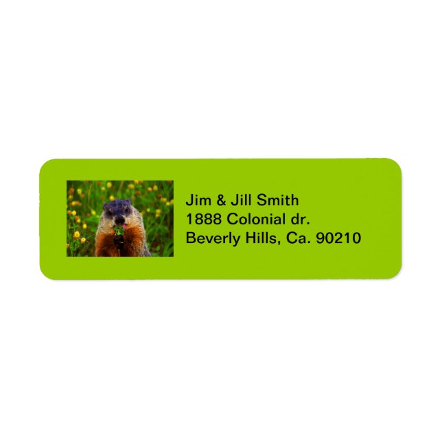 Happy Groundhog Day Eating Flower Return Address Label (Front)