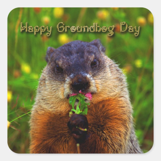 Happy Groundhog Day Eating Flower Square Sticker (Front)