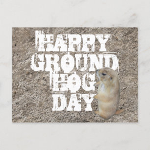 HAPPY GROUNDHOG DAY POSTCARD