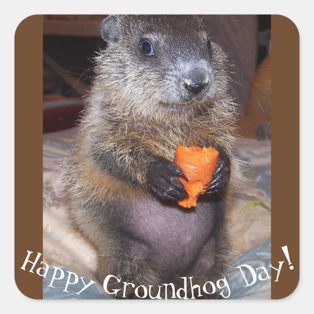 Happy Groundhog Day Stickers (Front)
