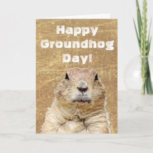 Happy Groundhog Day To You Holiday Card