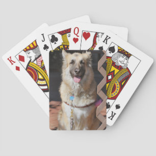 Happy GSD Playing Cards