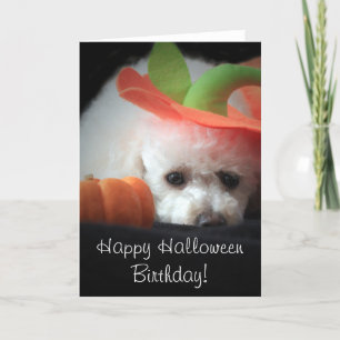 Happy Halloween Birthday poodle card