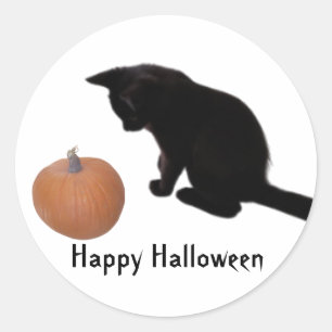 Happy Halloween Black Kitten and Orange Pumpkin Classic Round Sticker