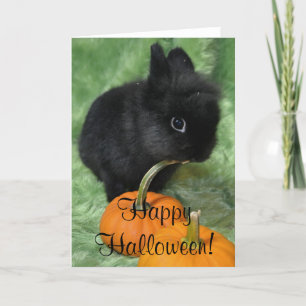 Happy Halloween Bunny Card