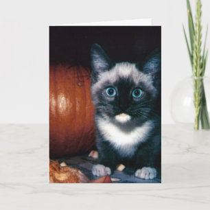Happy Halloween Card