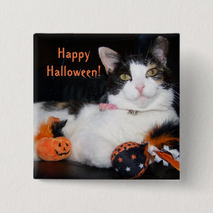 Happy Halloween Cat Calico Kitty with Pumpkin 15 Cm Square Badge