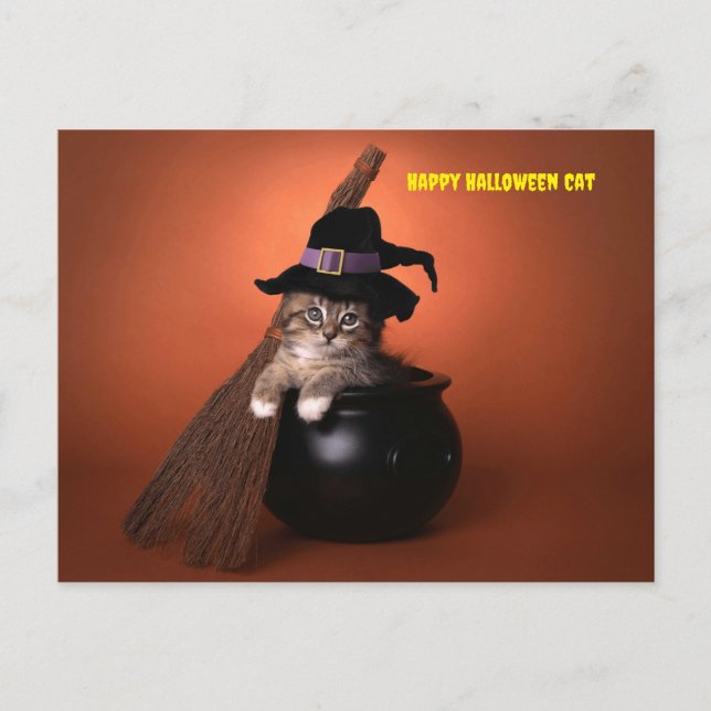 Happy Halloween Cat Holiday Postcard (Front)