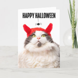 Happy Halloween Cat in Devil Costume With Spider Holiday Card