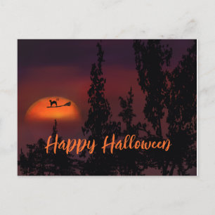 Happy Halloween Cat on Witch broom Postcard