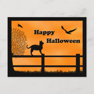 Happy Halloween Cat Post Card
