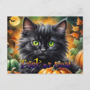 Happy Halloween Cat with pumpkin Holiday Postcard