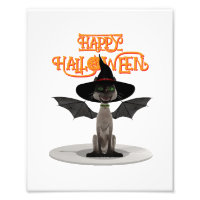 Happy Halloween. Cat with wings and witch's hat